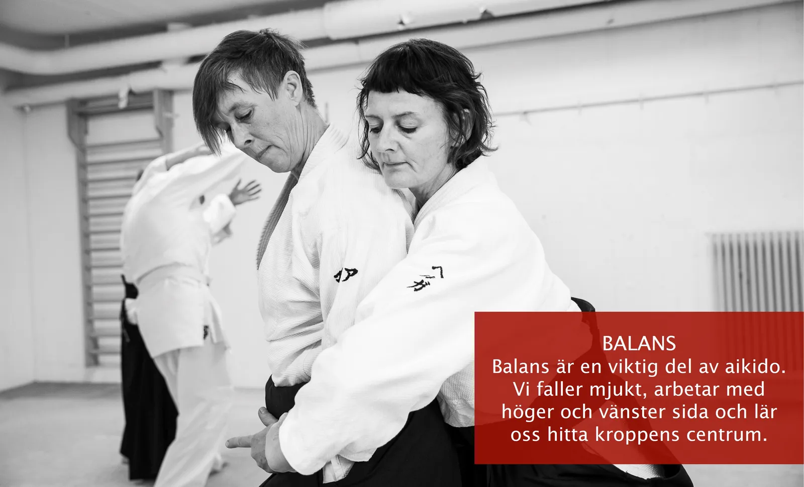 Minnano aikidoklubb — kampsport-studio i Stockholm — bild 4