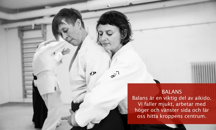 Minnano aikidoklubb — martial arts-studio in Stockholm — 4