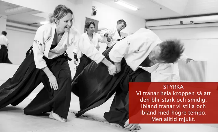 Minnano aikidoklubb — martial arts-studio i Vasastan, Stockholm