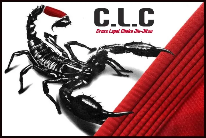 C.L.C jiu-jitsu brésilien — jjb-studio à Lille — 3