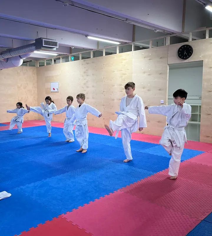 JKS Finland Shotokan — kamppailulajit-studio – Herttoniemi, Helsinki — 3