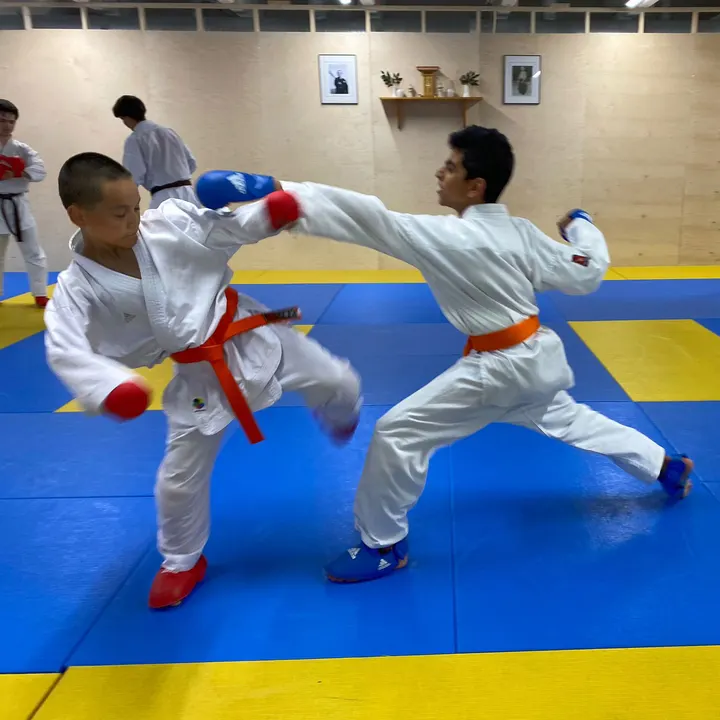 JKS Finland Shotokan — kamppailulajit-studio – Helsinki — 5