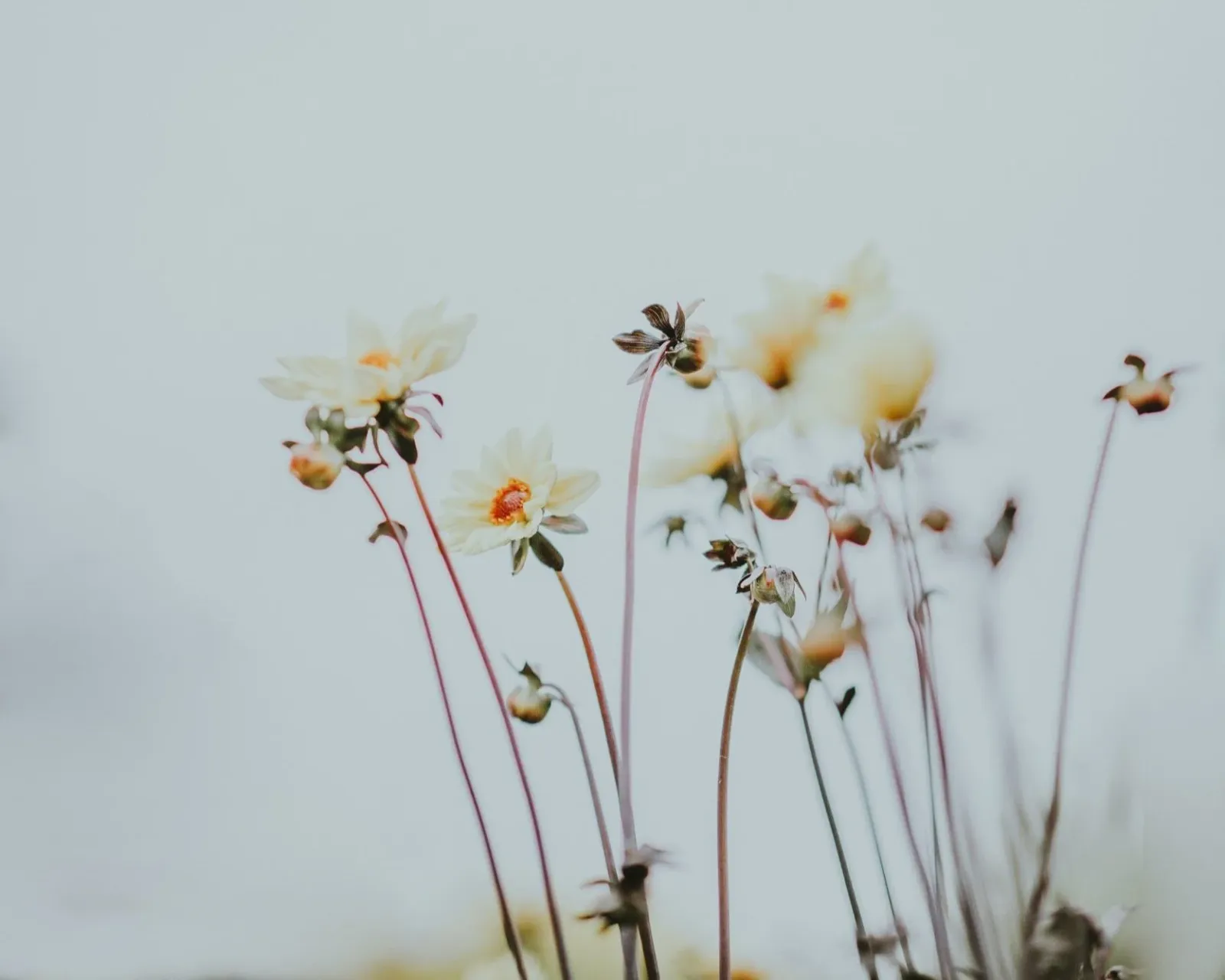 Die Yogastube — yoga-studio i Springe — 3