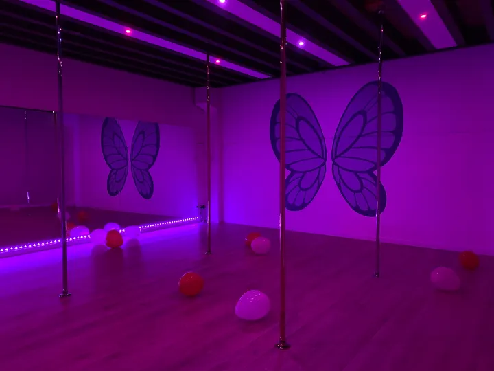 Celestial Pole — danse-studio à Rivesaltes — 4