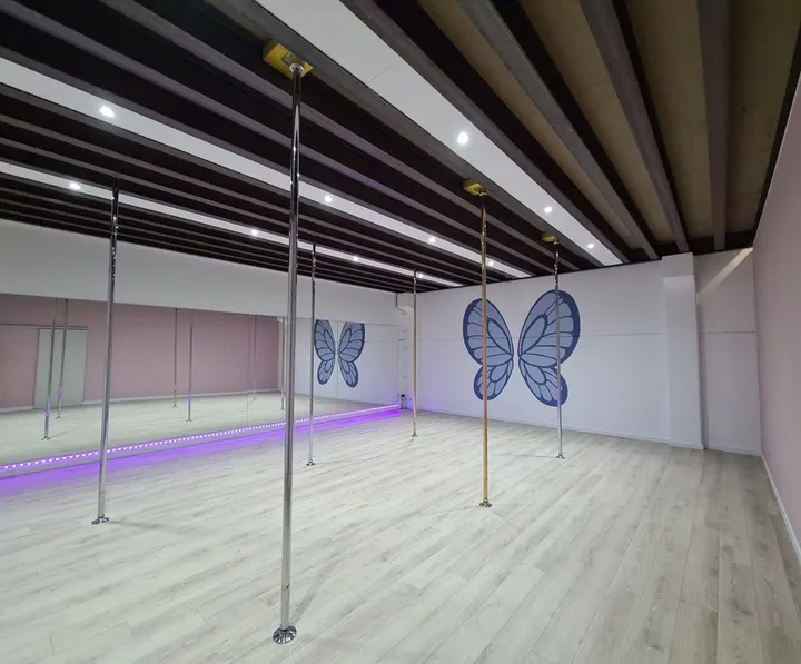 Celestial Pole — danse-studio à Rivesaltes — 5