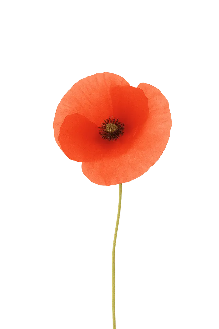 Spring wellness — wellness-studio in Bloemenwijk, Voorschoten — 3