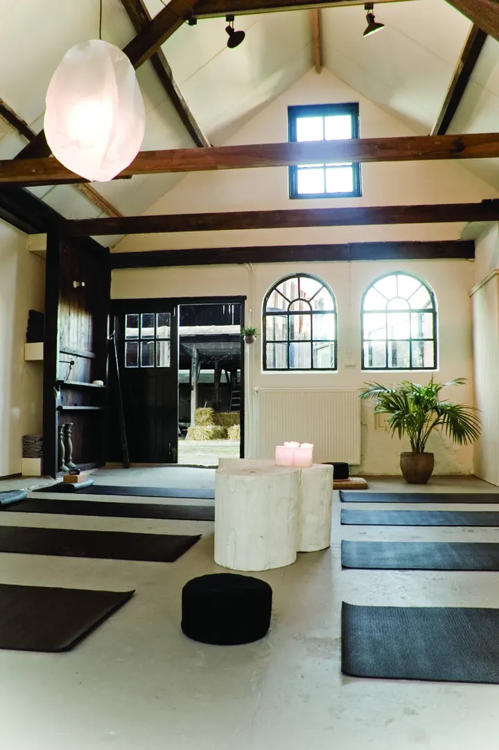 Spring wellness — wellness-studio in Voorschoten — 6