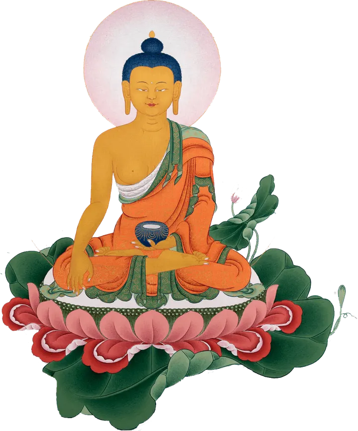 Centro de Meditación Gesar Gran Canaria — Meditación en Triana, Las Palmas de Gran Canaria