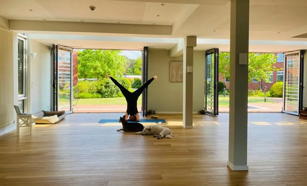 Ellen Hoormann Yoga-Physio-Coaching — yoga-studio i Lingen (Ems) — 2