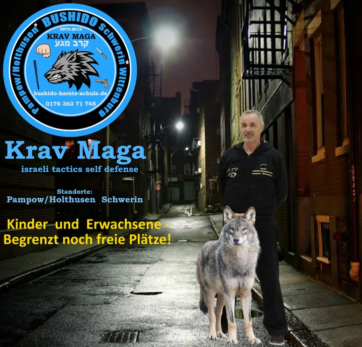 BushiDo KRAV MAGA Schwerin — kampfsport-studio in Schwerin — 3