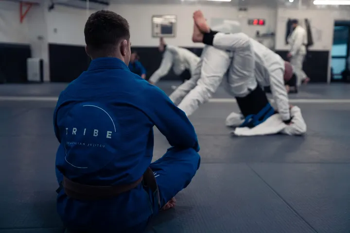 Tribe BJJ — BJJ in Clapham Junction, London