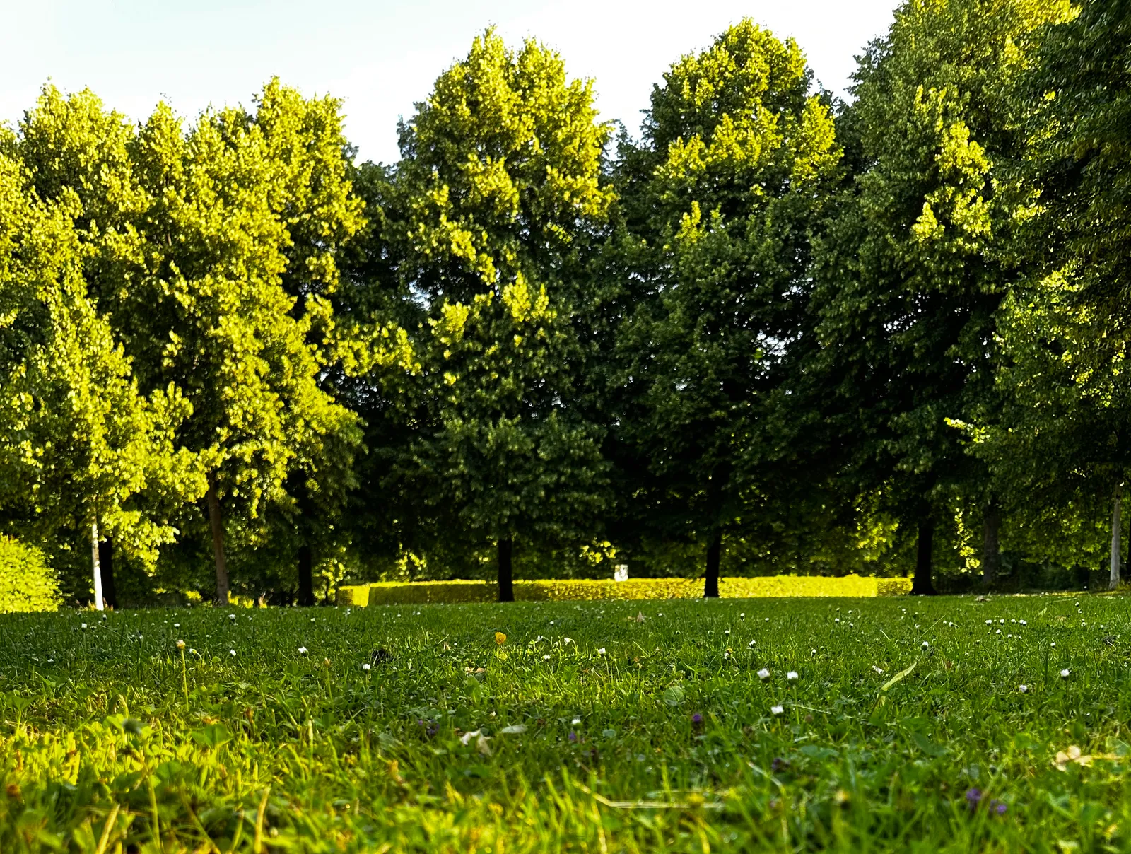 Yio Yoga in Oberbilk — yoga-studio i Düsseldorf — 2
