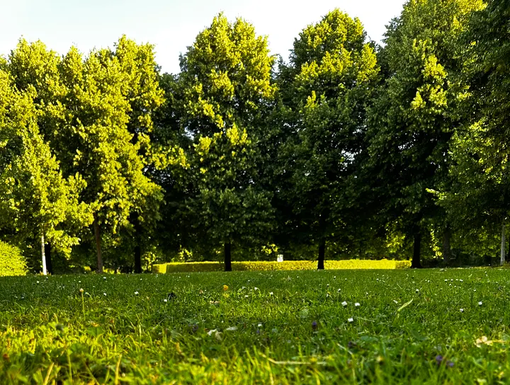 Yio Yoga in Oberbilk — yoga-studio in Oberbilk, Düsseldorf — 2