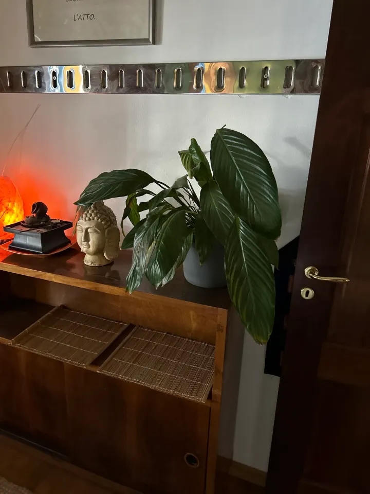 Sole a Mezzanotte Centro e Scuola di Formazione — Wellness a Villaggio Prenestino, Roma