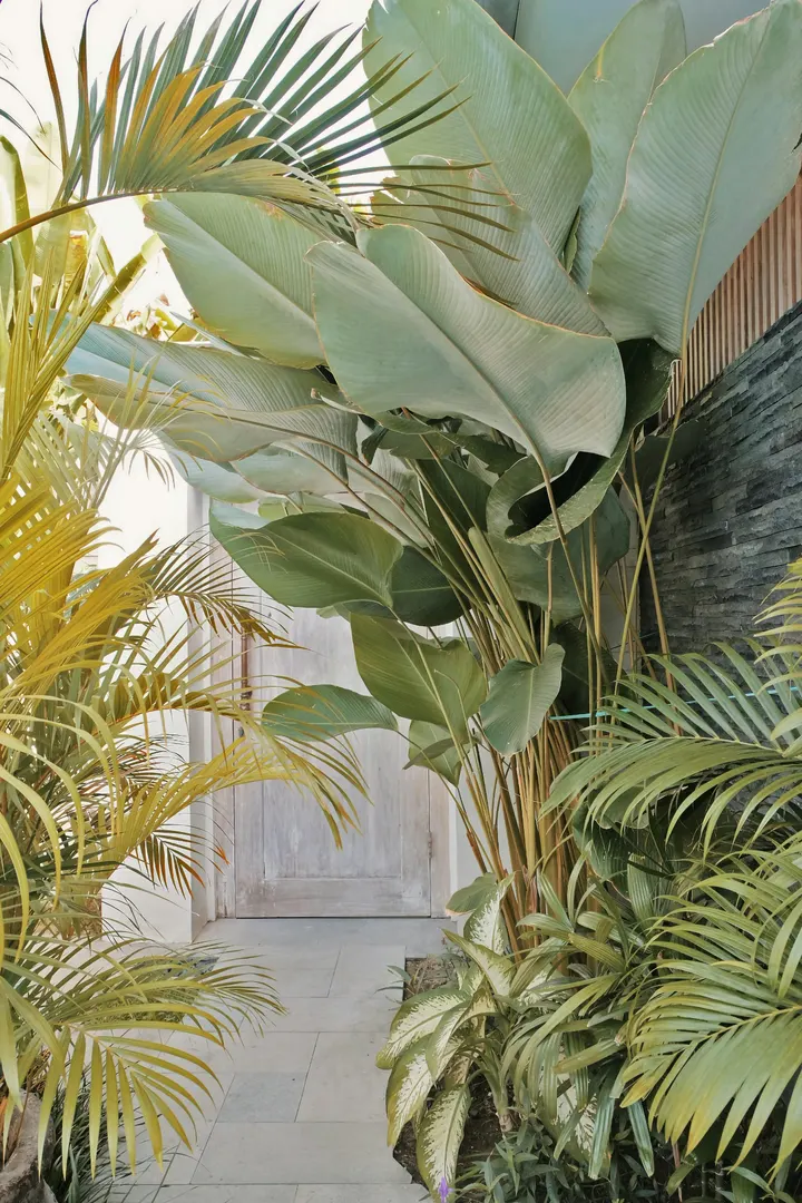 Christina Soriano Studio - Zoneterapi & Akupunktur — wellness-studio i Kødbyen, København