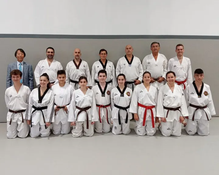 Taekwondo León Gimnasio Han-Yang — martial arts-studio i Centro, León