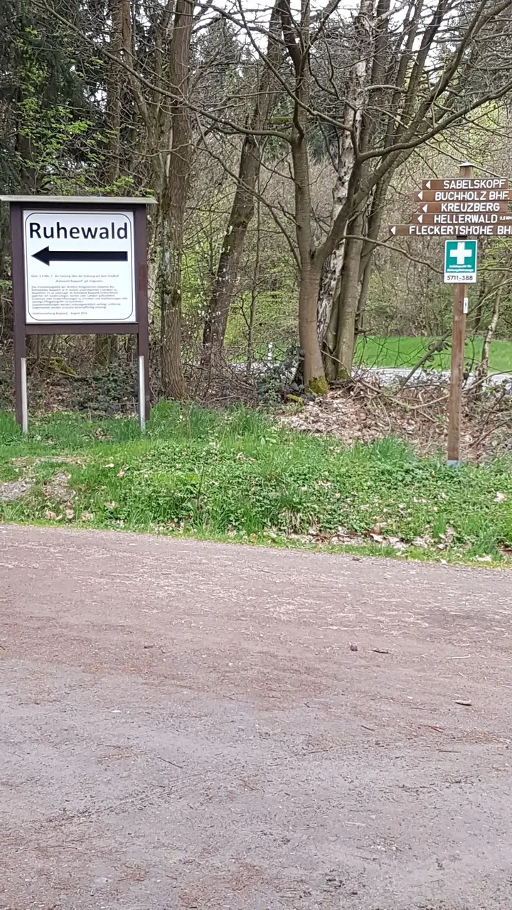 Buchholz — fitnessstudio in Boppard — 3