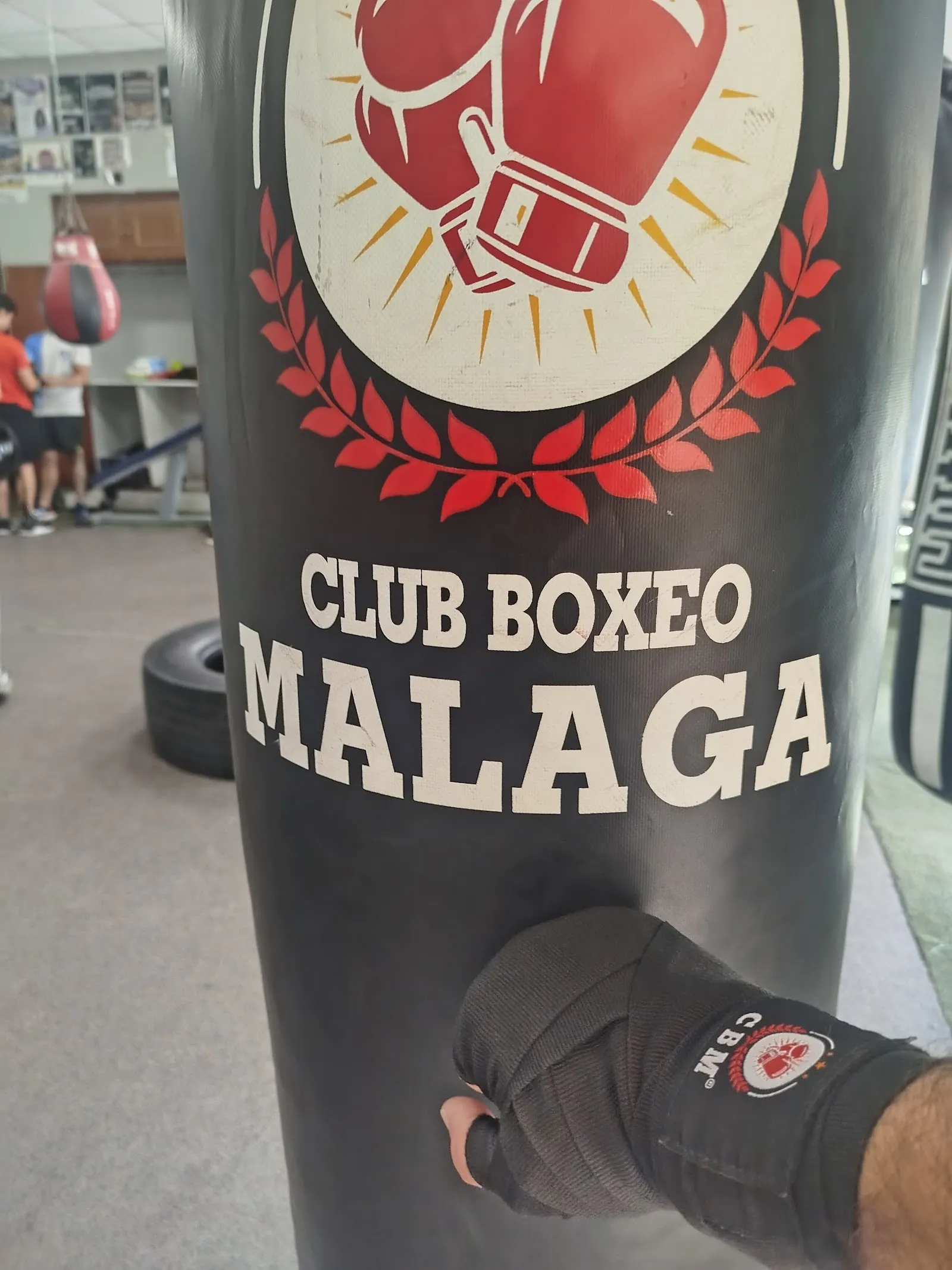 Asociación Club Boxeo Málaga — artes marciales-studio en Málaga — 3