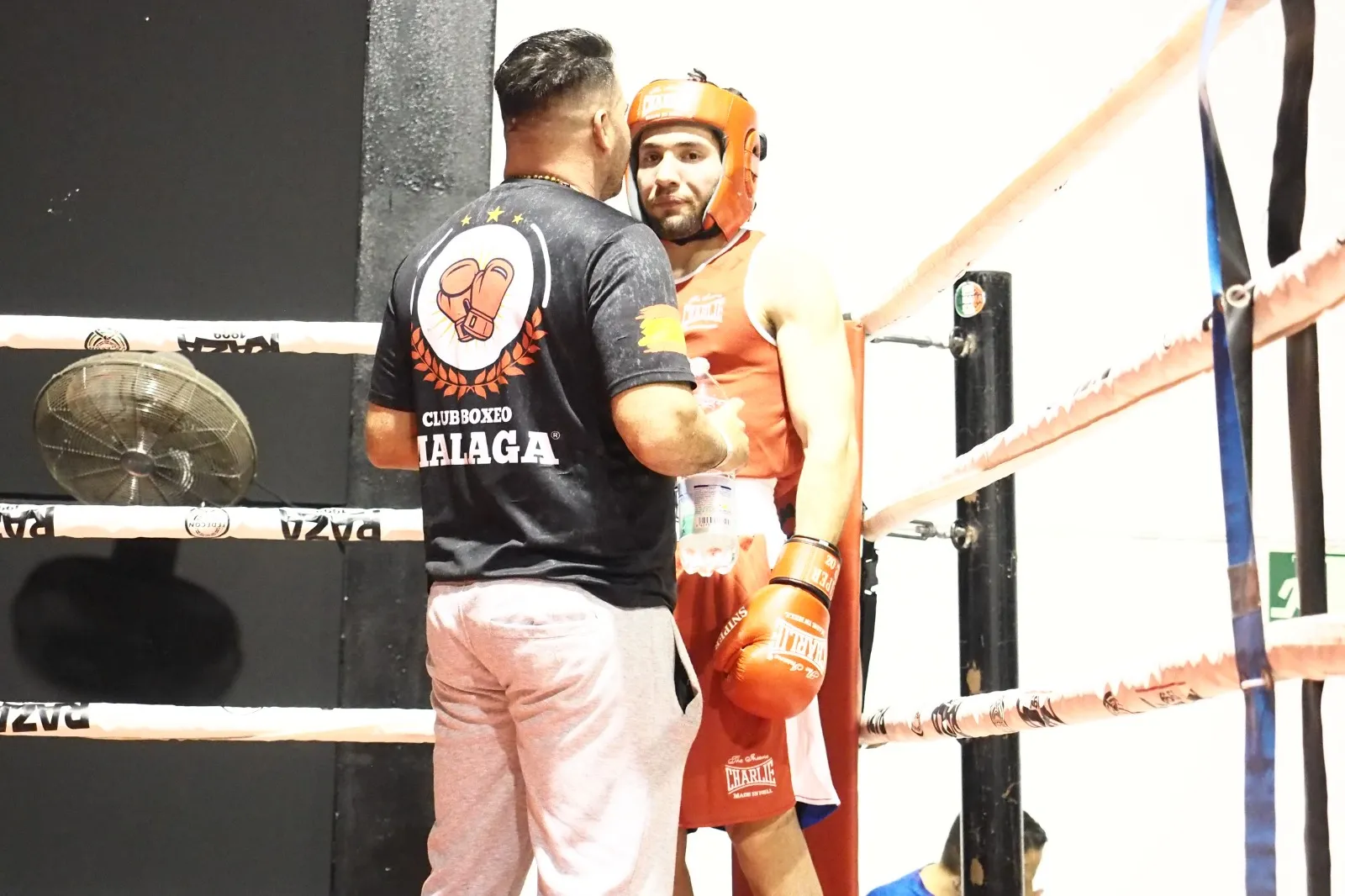 Asociación Club Boxeo Málaga — artes marciales-studio en Málaga — 4