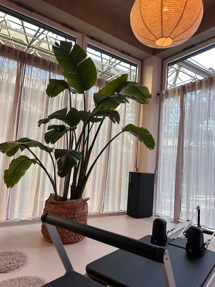 Ewa Riedel — pilates-studio in Mönchengladbach — 5