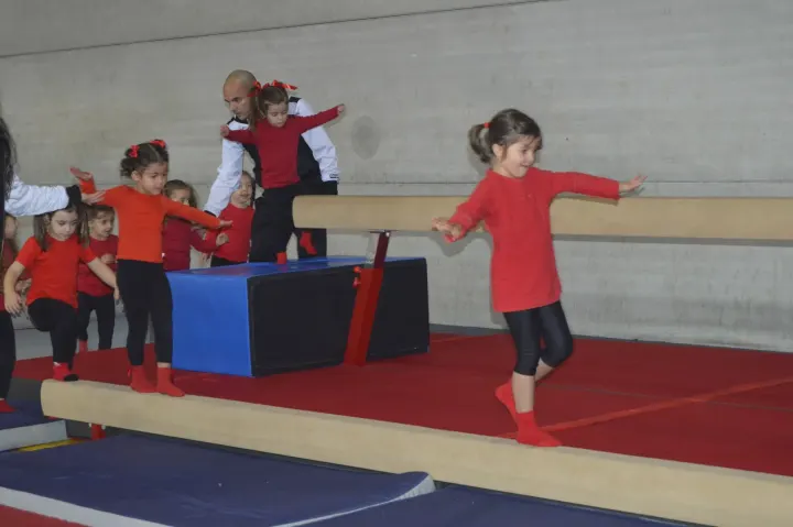 Escola de Ginástica de Gaia — Ginásio em Oliveira do Douro, Vila Nova de Gaia