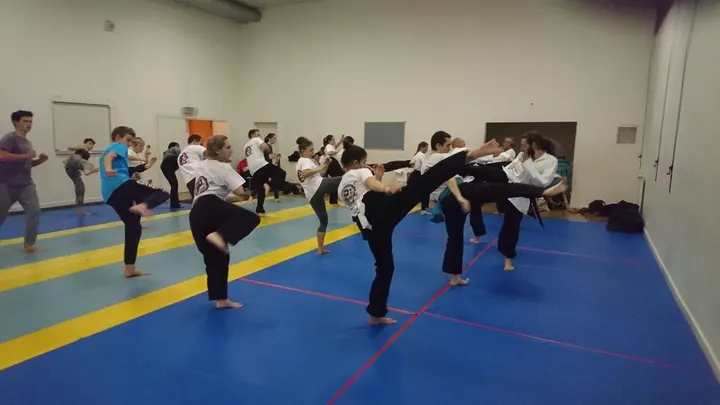 Shaolin Hung Gar Kung Fu Montpellier — arts martiaux-studio à Antigone, Montpellier — 3