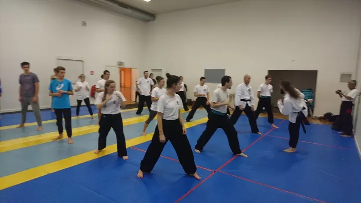 Shaolin Hung Gar Kung Fu Montpellier — arts martiaux-studio à Montpellier — 3