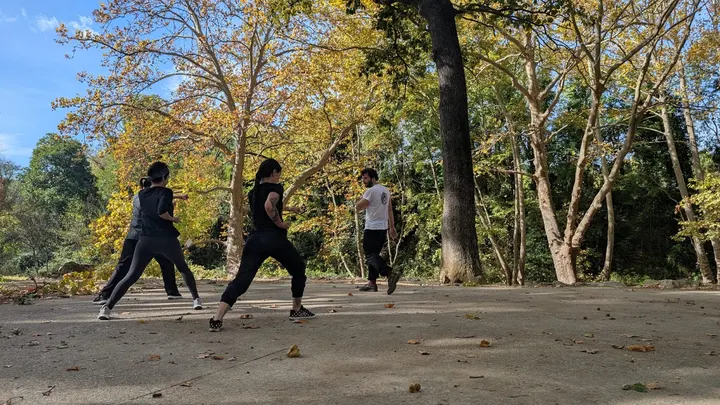 Shaolin Hung Gar Kung Fu Montpellier — arts martiaux-studio à Montpellier — 4