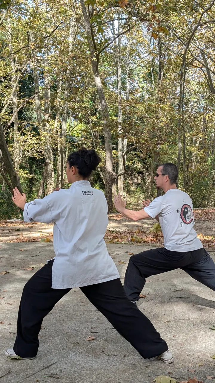 Shaolin Hung Gar Kung Fu Montpellier — arts martiaux-studio à Montpellier — 5