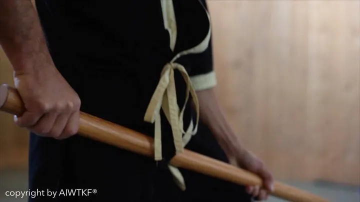 WING TSUN NICE — arts martiaux-studio à Carabacel, Nice — 2