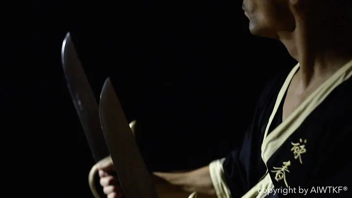WING TSUN NICE — arts martiaux-studio à Carabacel, Nice — 3
