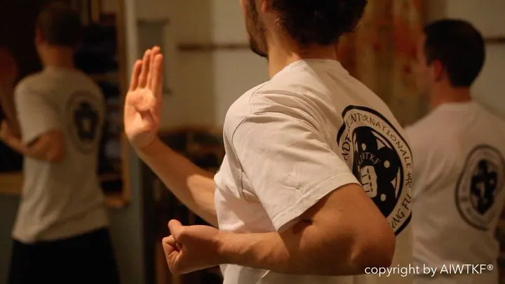 WING TSUN NICE — Arts martiaux à Carabacel, Nice