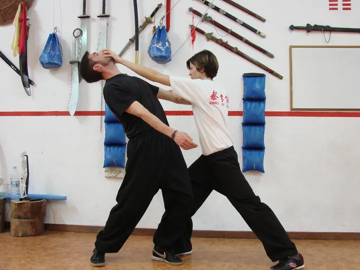 Fu Ying — artes marciales-studio en Valladolid — 5