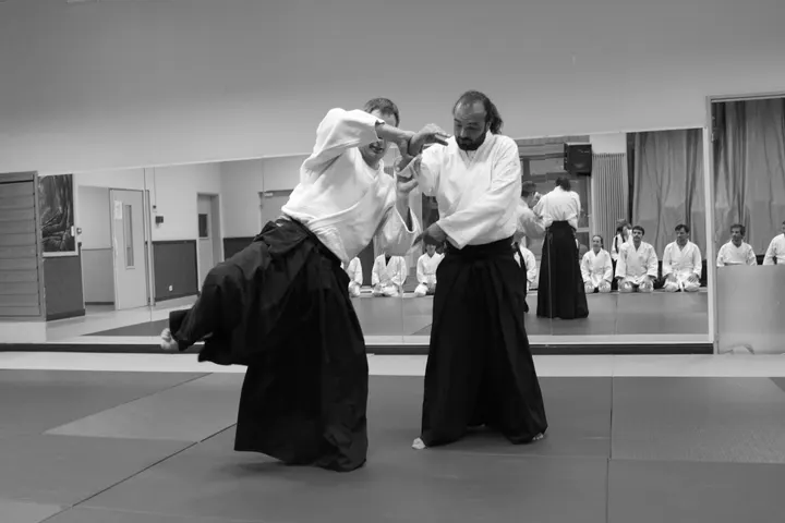 Marseille Aikido 12e Arrondissement — arts martiaux-studio à 12e Arrondissement, Marseille — 2