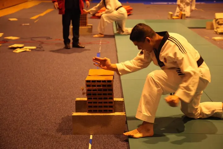 Club de Tae Kwondo de Clermont Ferrand — arts martiaux-studio à Cournon-d'Auvergne — 3