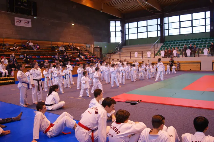 Club de Tae Kwondo de Clermont Ferrand — Arts martiaux à Cournon-d'Auvergne