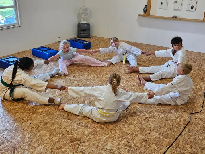 ANSHIN - Kampkunst og Selvforsvar — kampsport-studio i Svendborg — 3