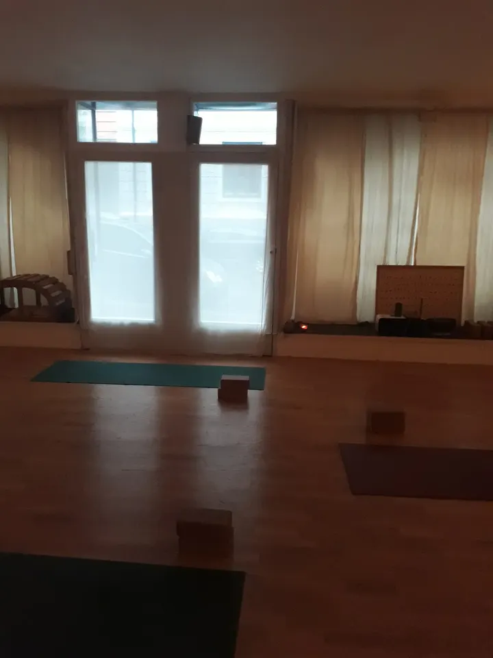 Andrea Molnar yoga — Yoga i Frogner, Oslo