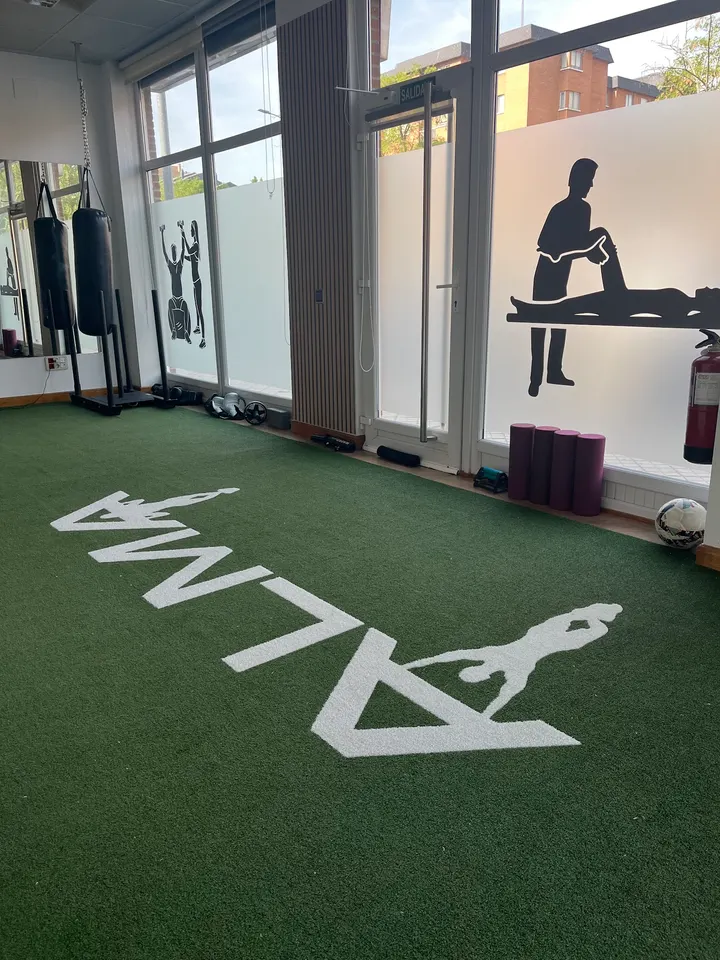 ALMA Entrenamientos y Fisioterapia — entrenamiento personal-studio en Valladolid — 5