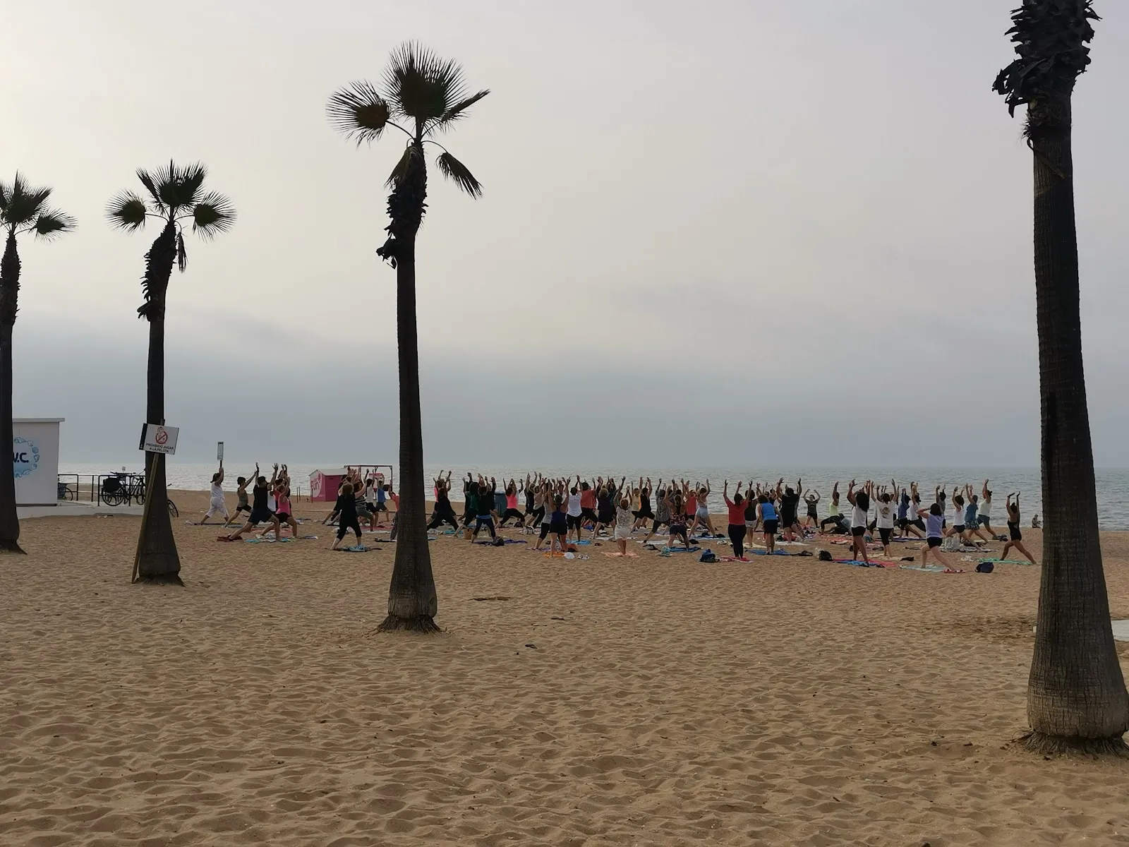 Yoga Carlos Rubio — yoga-studio en Lepe — 5
