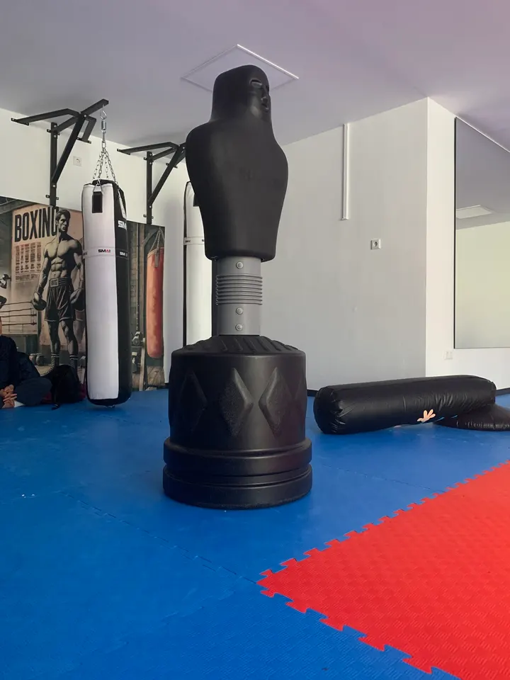 Kampfsportschule Sini e.V. Sini?a Stojakovi? — Kampfsport in Gemarkung Elberfeld, Wuppertal