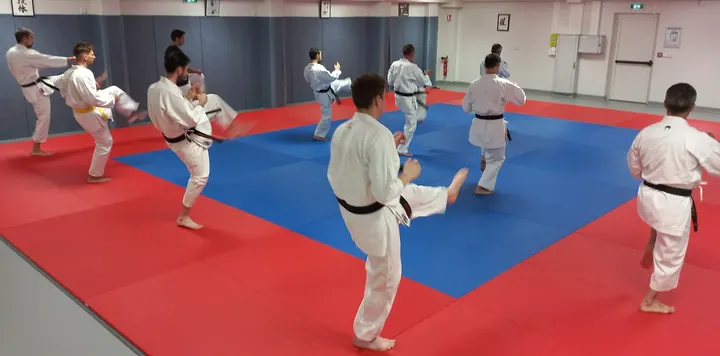 Dento Shito-Ryu Karate -Do — arts martiaux-studio au Grand-Treuil, Limoges — 2