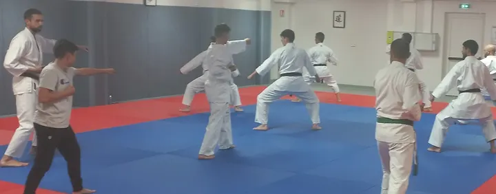 Dento Shito-Ryu Karate -Do — arts martiaux-studio à Limoges — 4