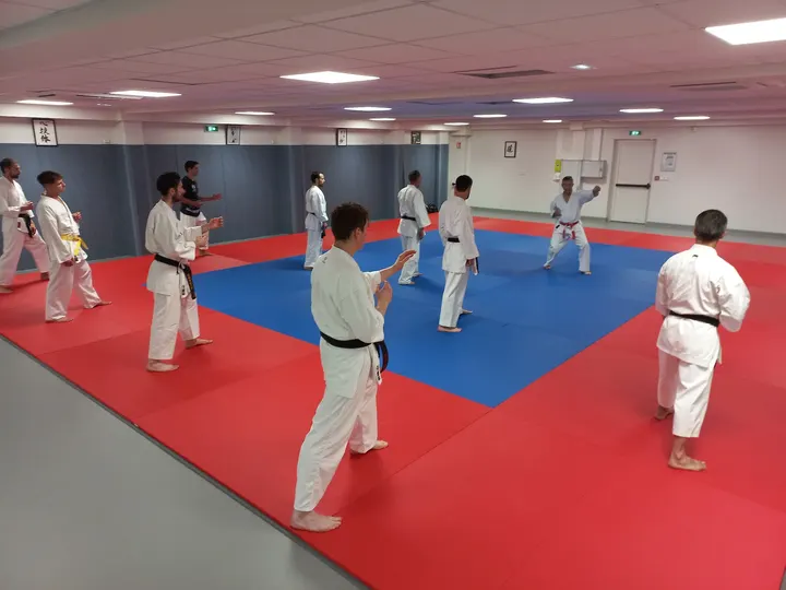 Dento Shito-Ryu Karate -Do — Arts martiaux à Le Grand-Treuil, Limoges