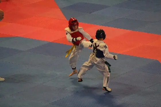Bluewave Korean Martial Arts — martial arts-studio in Houndmills, Basingstoke — 2