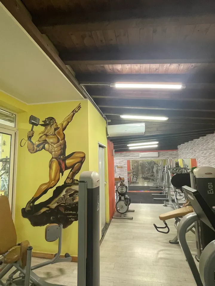 Hammer Fit asd — palestre-studio a Sestu — 4
