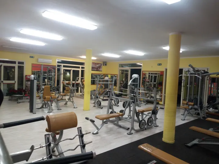 Hammer Fit asd — Palestre a Piano Dedalo, Sestu