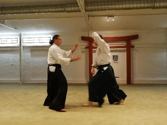 Aikido-Dojo München e.V. — kampfsport-studio in Sendling, München — 2
