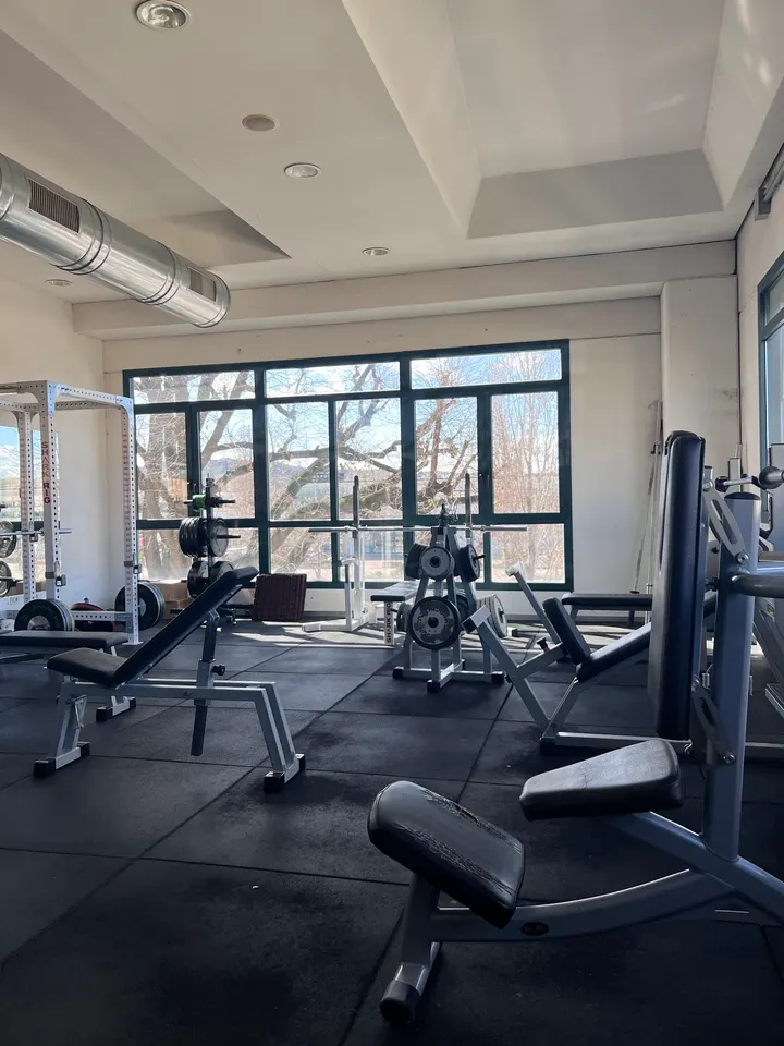 Altis Fitness Club — palestre-studio a Pesaro — 3