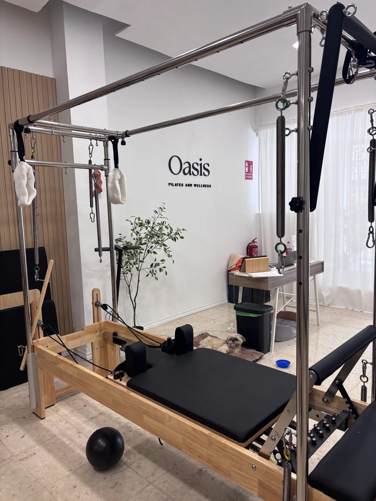 PILATES AND CARE — pilates-studio en Los Llanos, Estepona — 3